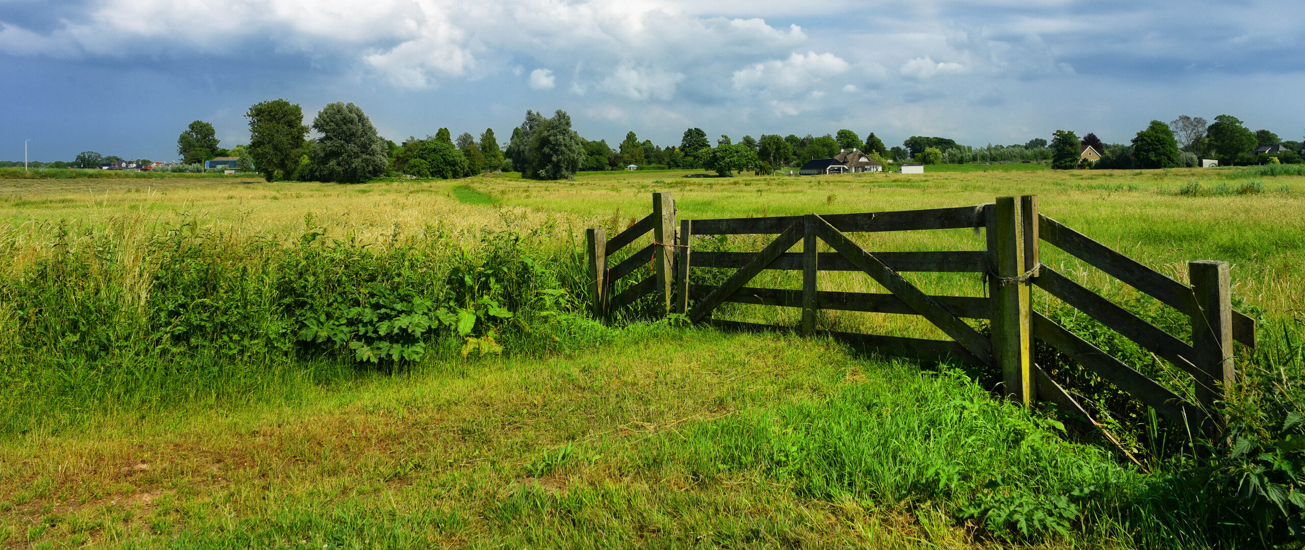 Een hek temidden van groene weides in Nederland