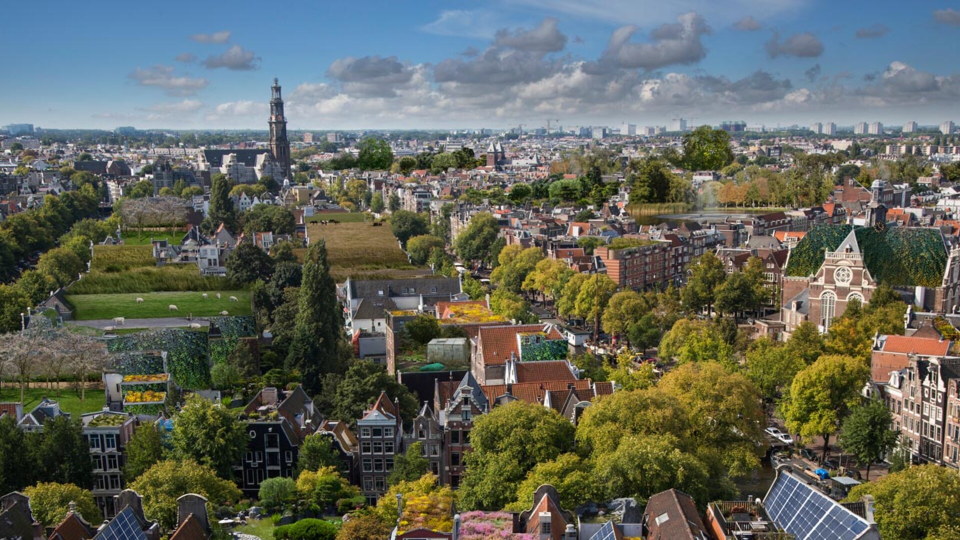 foto natuurinclusief bouwen