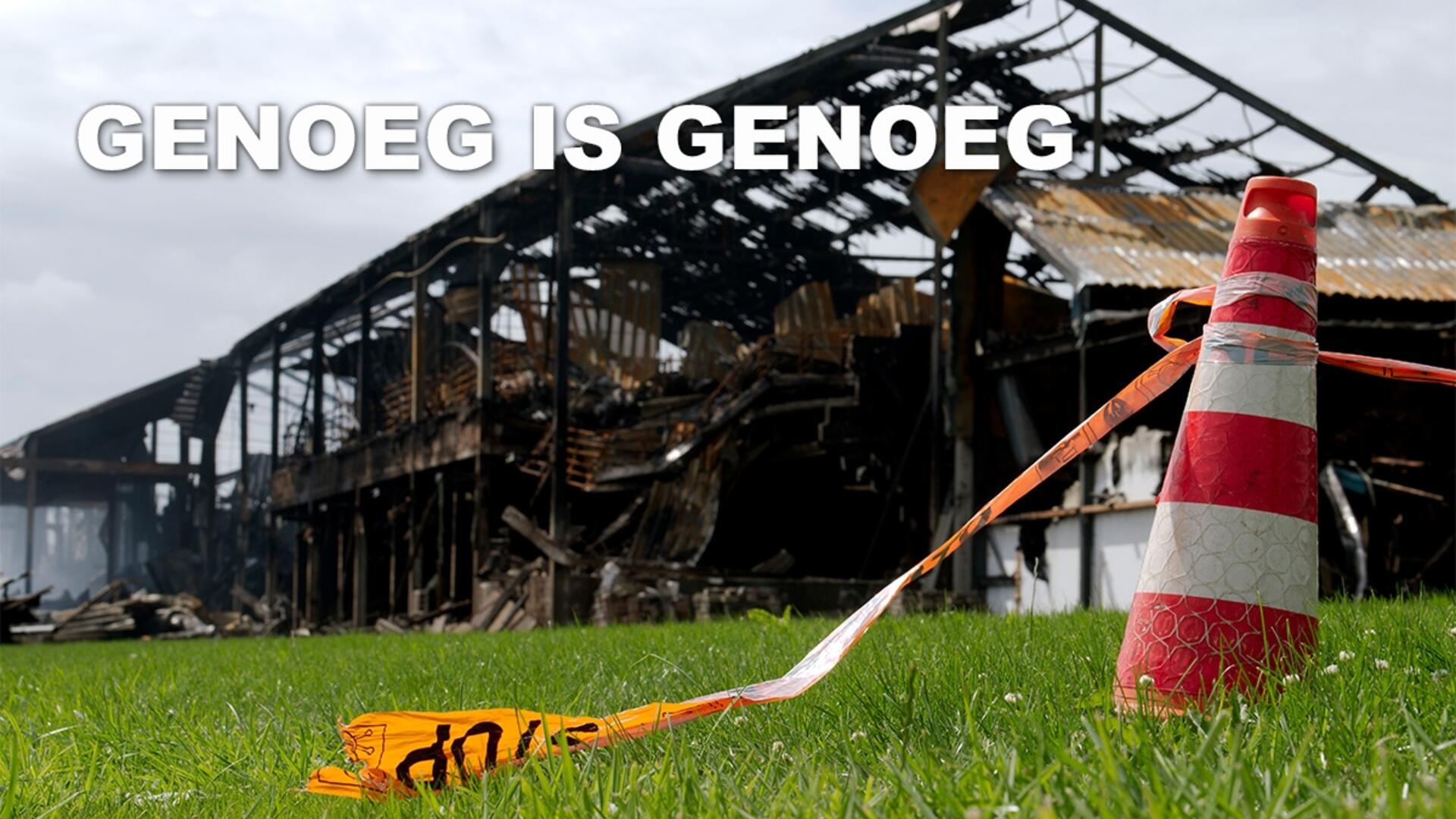 dierenrecht.jpg